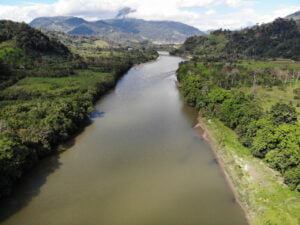 the Amazon biggest largest river