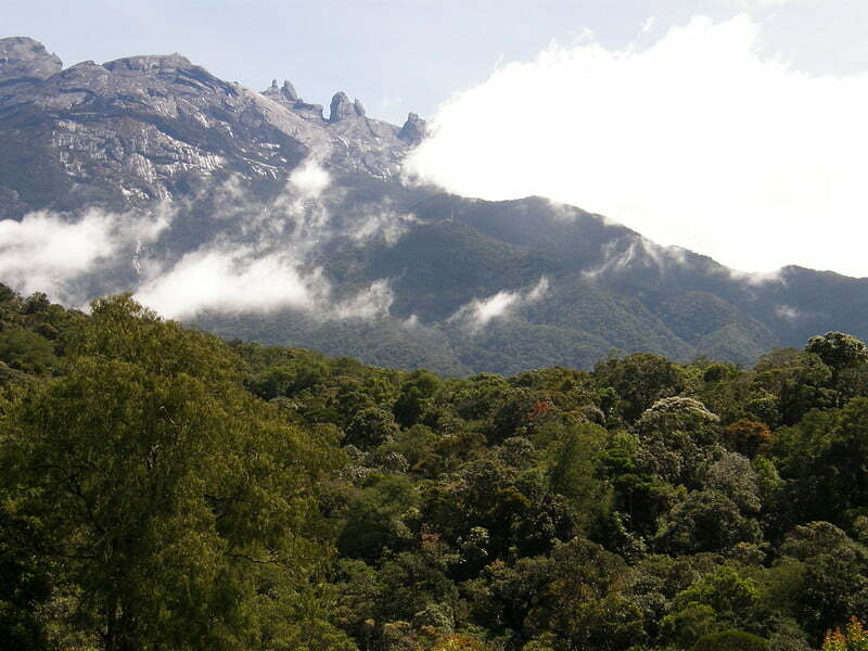 Kinabalu a biggest forest in the world